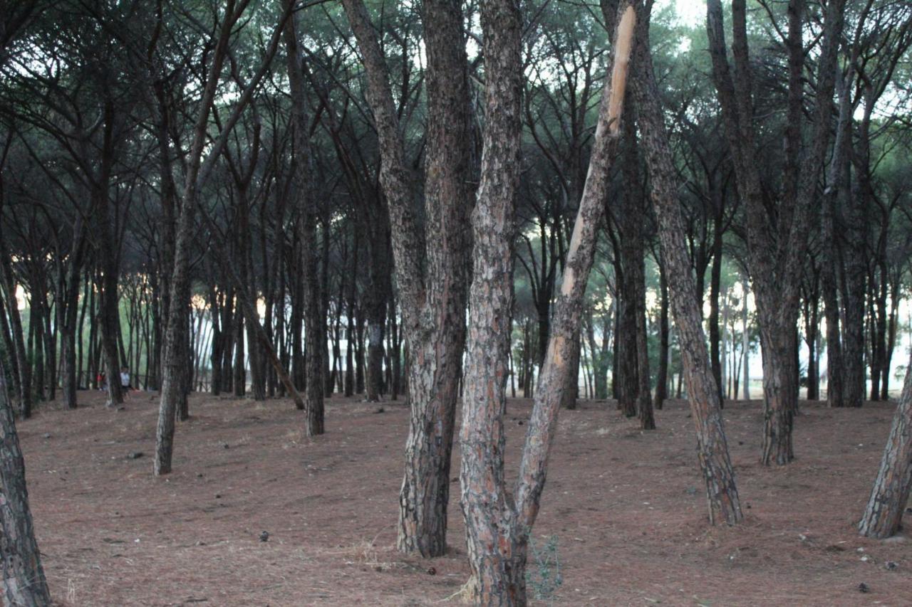 Park Hotel Le Dune Di Giovino Catanzaro Buitenkant foto